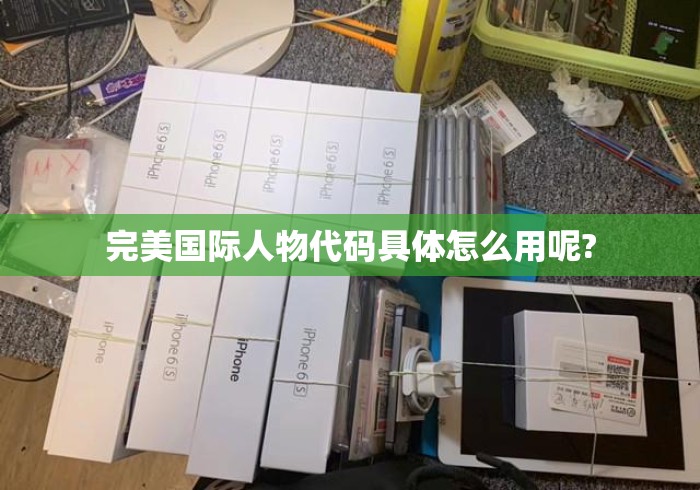 完美国际人物代码具体怎么用呢?