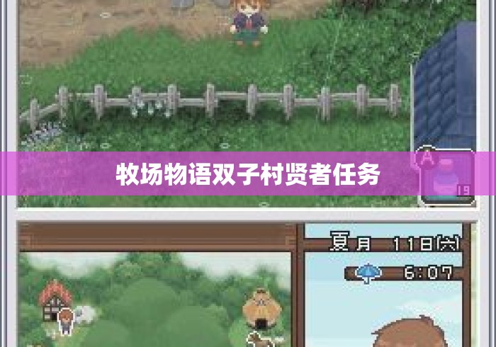 牧场物语双子村贤者任务 牧场物语双子村贤者任务