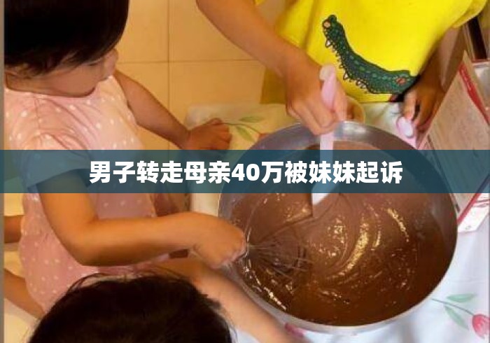 男子转走母亲40万被妹妹起诉