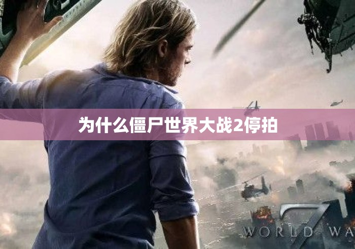 为什么僵尸世界大战2停拍 为什么僵尸世界大战2停拍