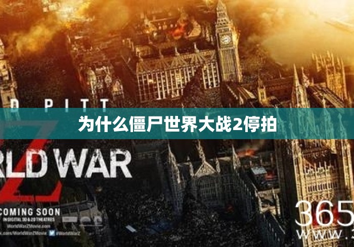 为什么僵尸世界大战2停拍 为什么僵尸世界大战2停拍