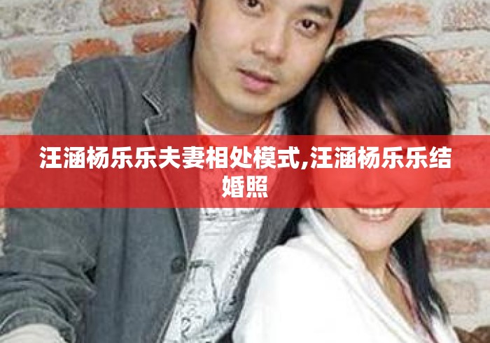 汪涵杨乐乐夫妻相处模式,汪涵杨乐乐结婚照