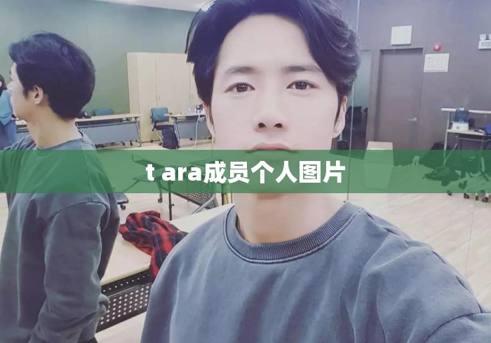t ara成员个人图片