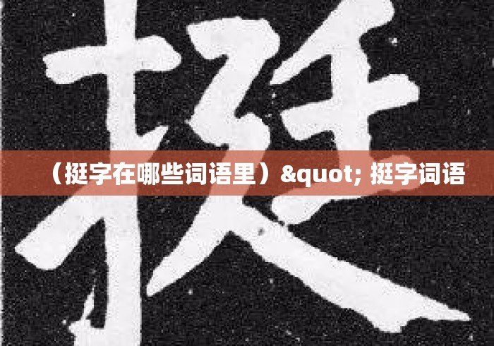 （挺字在哪些词语里）" 挺字词语