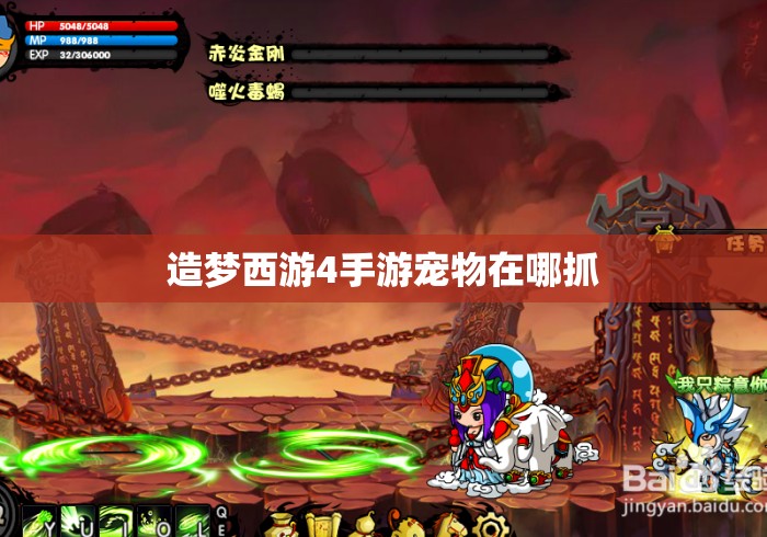 造梦西游4手游宠物在哪抓 造梦西游4手游宠物在哪抓