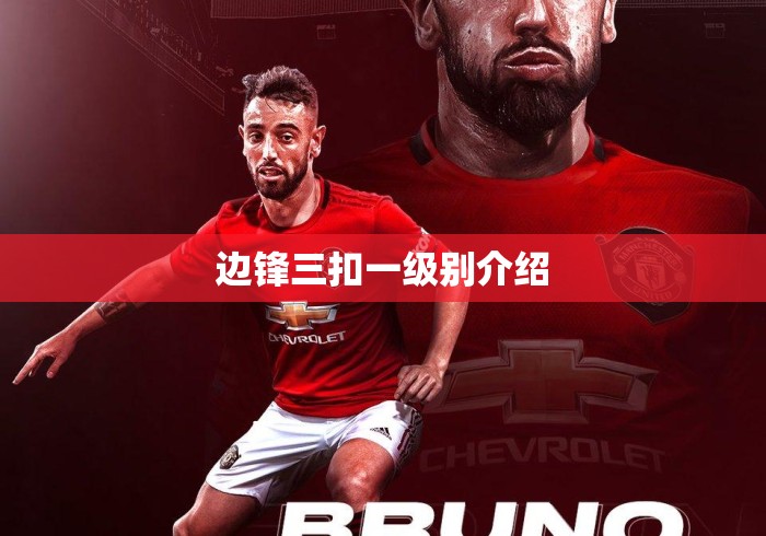 边锋三扣一级别介绍