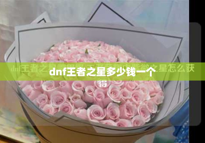 dnf王者之星多少钱一个