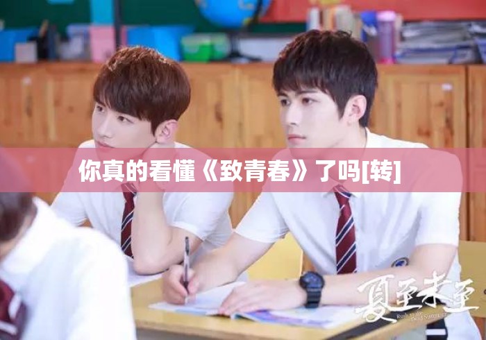 你真的看懂《致青春》了吗[转] 