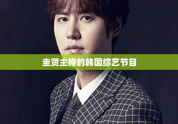 圭贤主持的韩国综艺节目 圭贤主持的韩国综艺节目