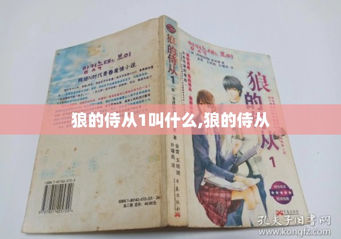狼的侍从1叫什么,狼的侍从