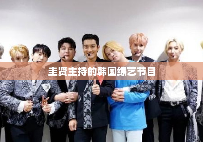 圭贤主持的韩国综艺节目
