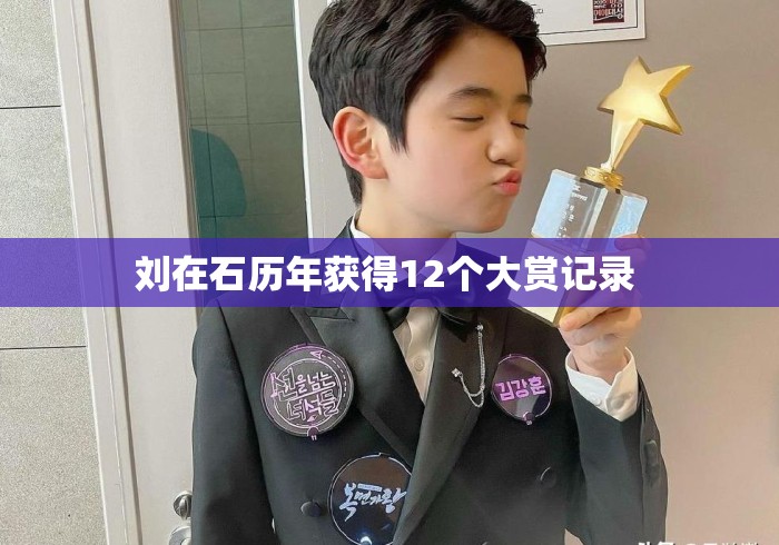 刘在石历年获得12个大赏记录 刘在石历年获得12个大赏记录