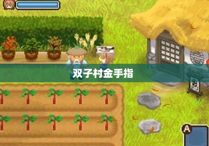 双子村金手指 