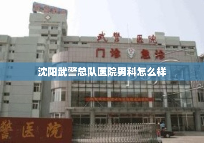 沈阳武警总队医院男科怎么样 沈阳武警总队医院男科怎么样