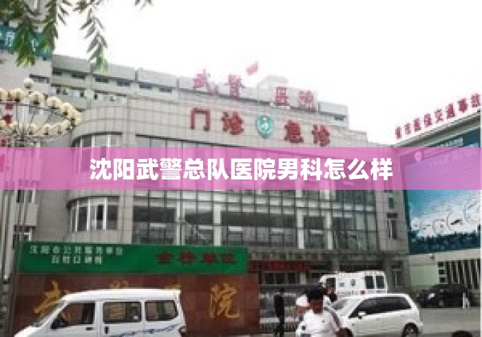 沈阳武警总队医院男科怎么样 沈阳武警总队医院男科怎么样