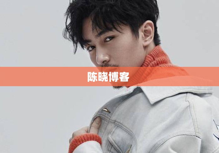 陈晓博客 