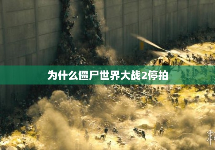 为什么僵尸世界大战2停拍