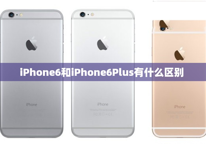 iPhone6和iPhone6Plus有什么区别 