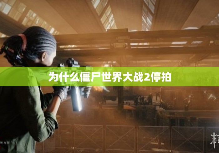 为什么僵尸世界大战2停拍