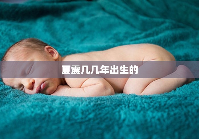 夏震几几年出生的