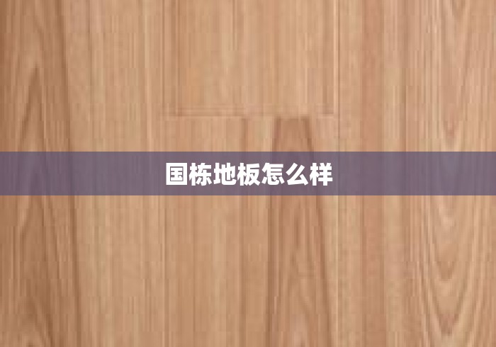 国栋地板怎么样
