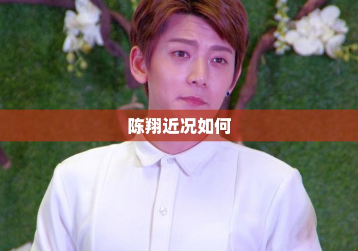 陈翔近况如何
