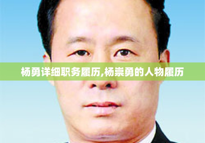 杨勇详细职务履历,杨崇勇的人物履历 杨勇详细职务履历,杨崇勇的人物履历