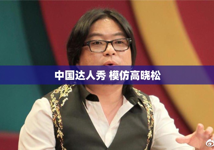 中国达人秀 模仿高晓松