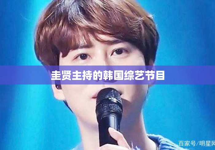 圭贤主持的韩国综艺节目