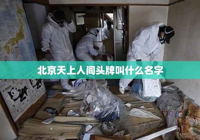 北京天上人间头牌叫什么名字