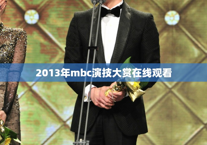 2013年mbc演技大赏在线观看 2013年mbc演技大赏在线观看