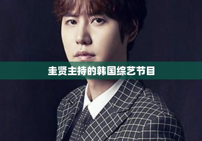 圭贤主持的韩国综艺节目
