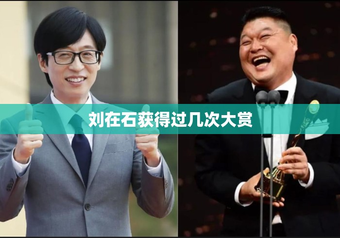 刘在石获得过几次大赏