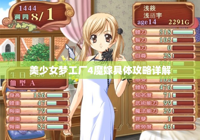 美少女梦工厂4魔嫁具体攻略详解
