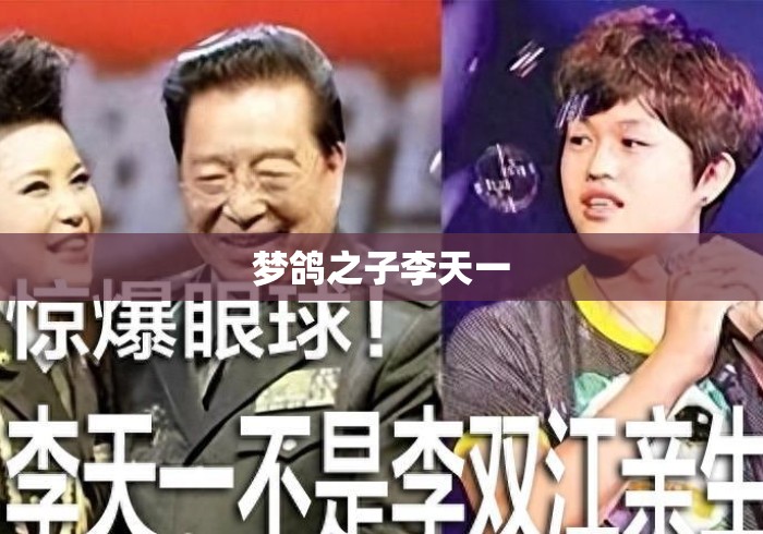 梦鸽之子李天一 梦鸽之子李天一
