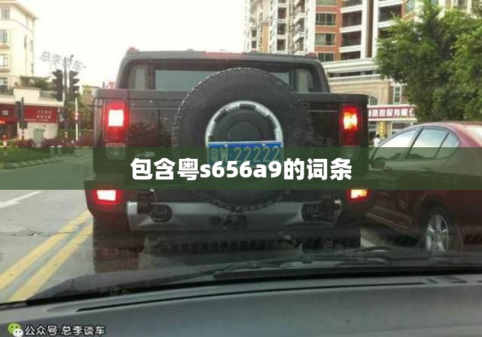 包含粤s656a9的词条