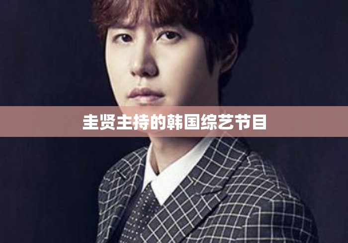 圭贤主持的韩国综艺节目