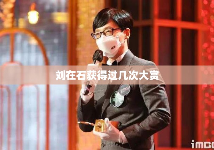 刘在石获得过几次大赏