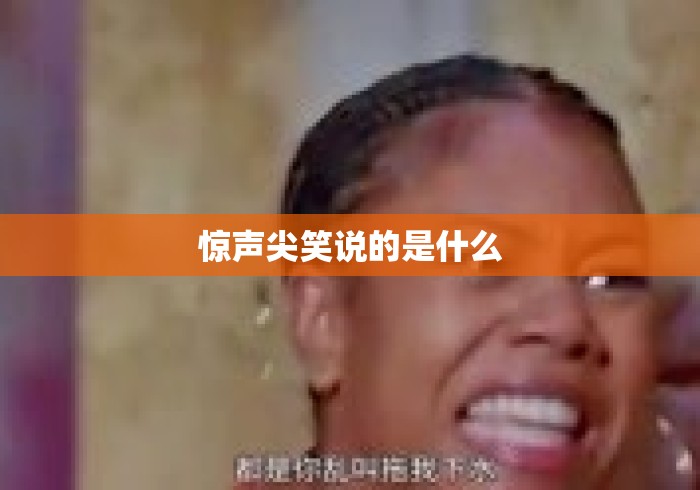 惊声尖笑说的是什么 惊声尖笑说的是什么