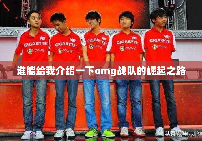 谁能给我介绍一下omg战队的崛起之路