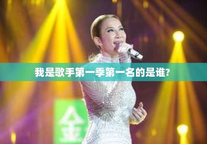 我是歌手第一季第一名的是谁? 