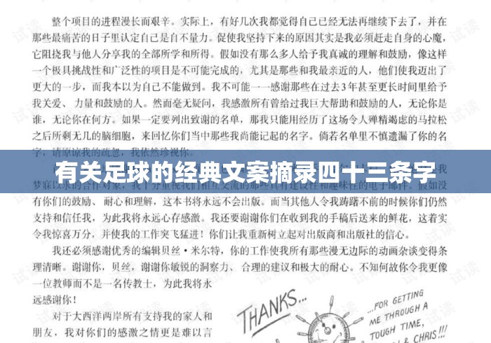 有关足球的经典文案摘录四十三条字