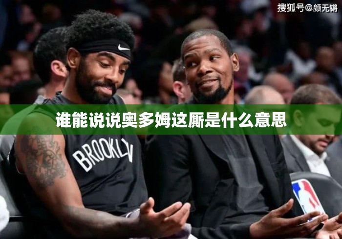 谁能说说奥多姆这厮是什么意思 谁能说说奥多姆这厮是什么意思