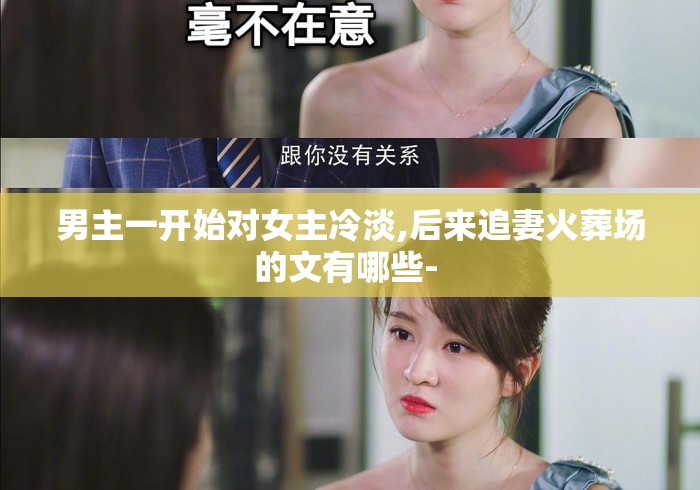 男主一开始对女主冷淡,后来追妻火葬场的文有哪些- 男主一开始对女主冷淡,后来追妻火葬场的文有哪些-