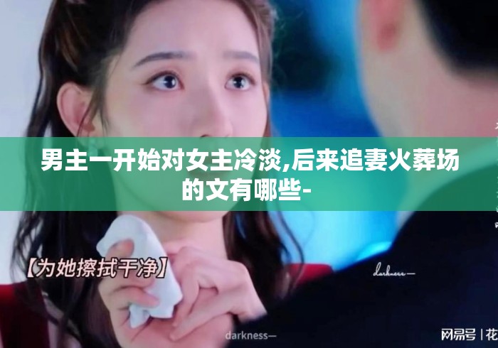 男主一开始对女主冷淡,后来追妻火葬场的文有哪些- 男主一开始对女主冷淡,后来追妻火葬场的文有哪些-