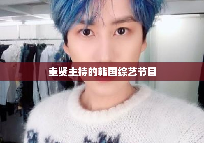 圭贤主持的韩国综艺节目 圭贤主持的韩国综艺节目