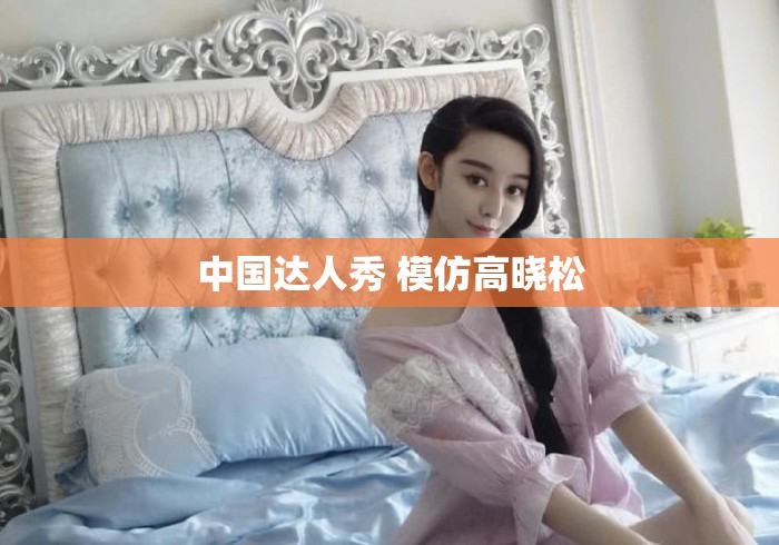 中国达人秀 模仿高晓松