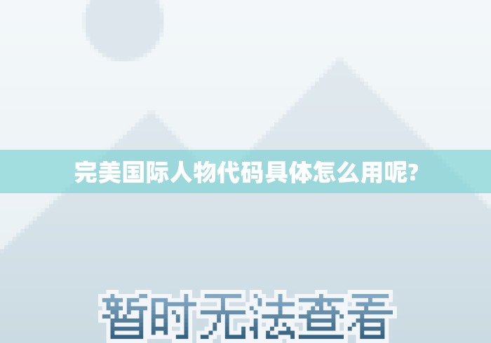 完美国际人物代码具体怎么用呢?