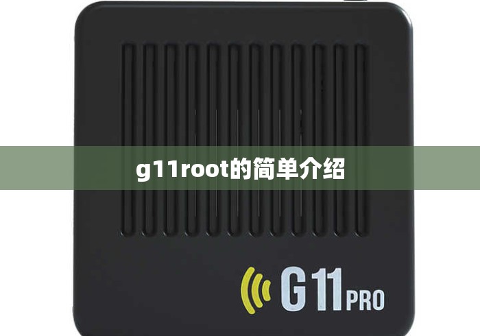 g11root的简单介绍 g11root的简单介绍