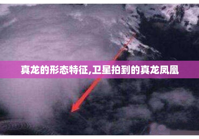 真龙的形态特征,卫星拍到的真龙凤凰